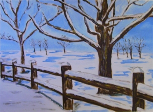 Fence in Winter (2013) - 11x15", acrylic on art paper (sold)
